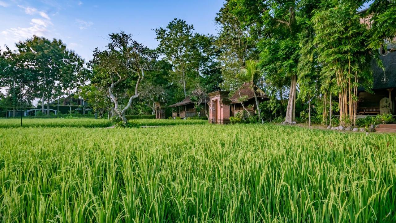 Hotel Kajane Yangloni At Ubud Exteriér fotografie