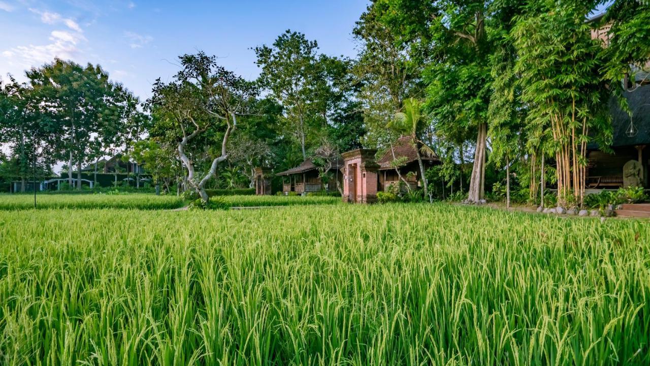 Kajane Yangloni At Ubud Exteriér fotografie