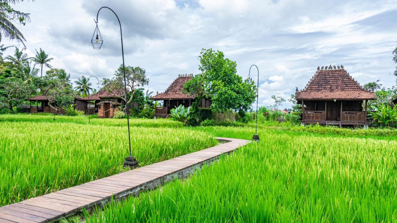 Kajane Yangloni At Ubud Exteriér fotografie
