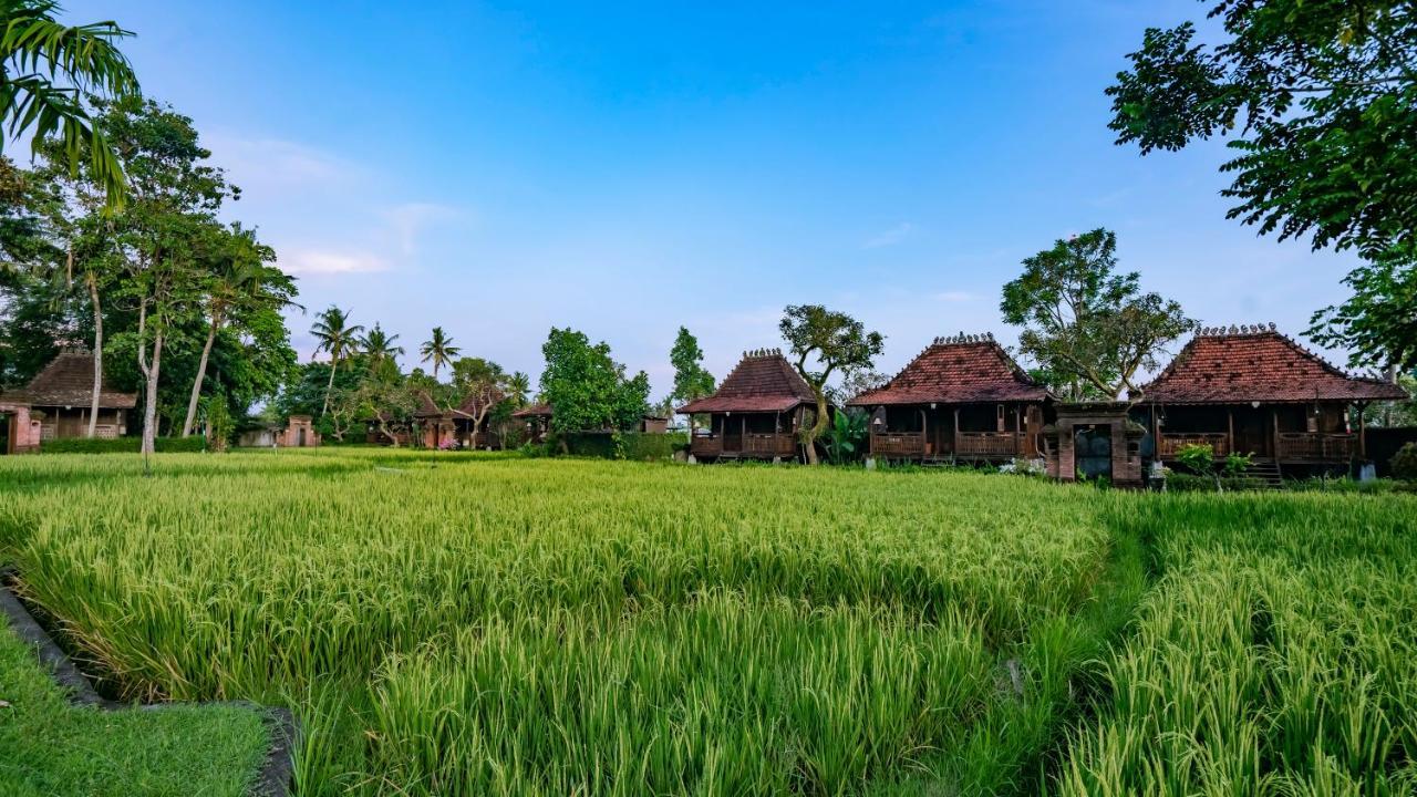 Kajane Yangloni At Ubud Exteriér fotografie