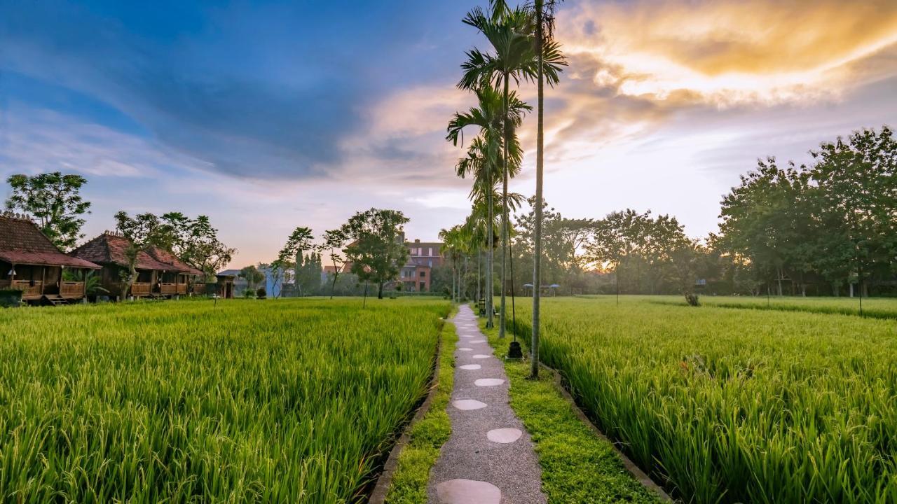 Kajane Yangloni At Ubud Exteriér fotografie